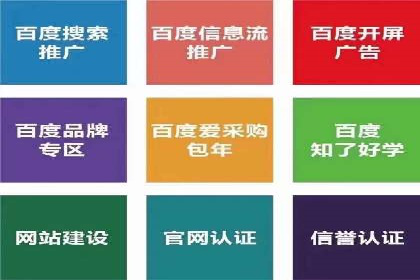 成功运用SEM服务实现品牌快速成长的案例